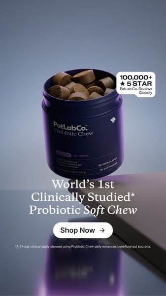 Finally a dog probiotic soft chew really built by science