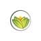 The Ayurveda Experience