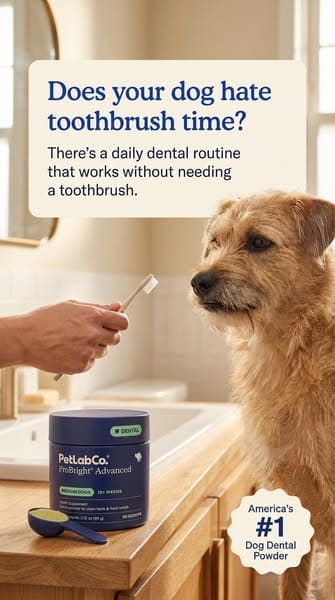 Keep their teeth clean WITHOUT a toothbrush!
