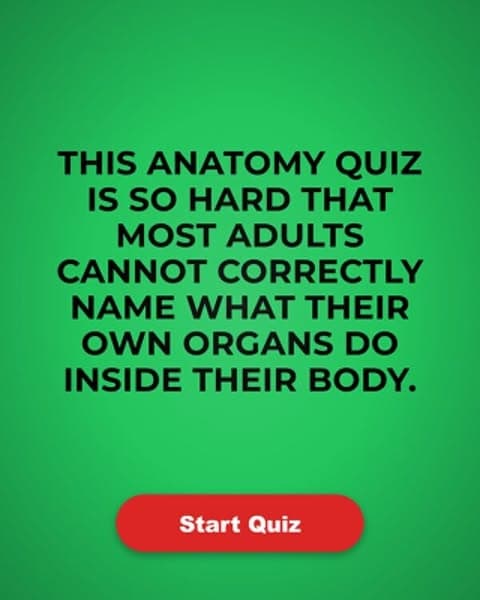 Most Adults Can't Correctly Name What Their Own Organs Do — Can You?