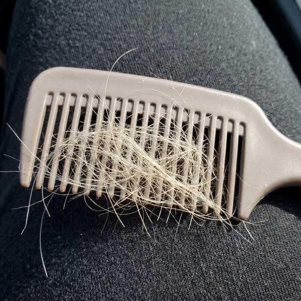 Doc said "it's just menopause", she was WRONG.
