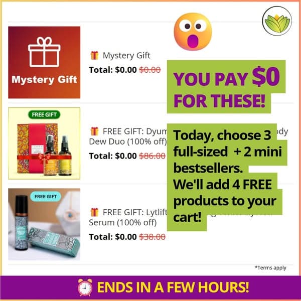 🔔FINAL CALL! This offer ends in a few hours⏰