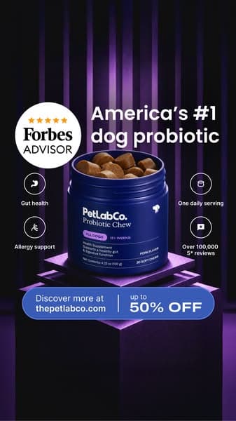 America's #1 Selling Dog Probiotic Chew