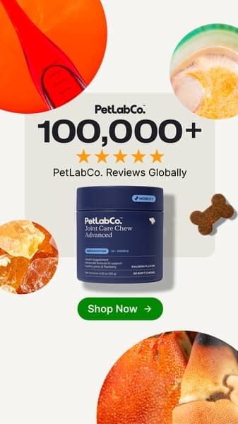 Get up to 50% OFF today!