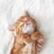 The Pet Collective with Hill’s Pet Nutrition