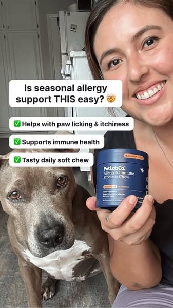 Allergy Support, Made Simple