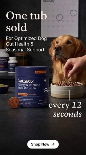 He Takes It Like A Treat