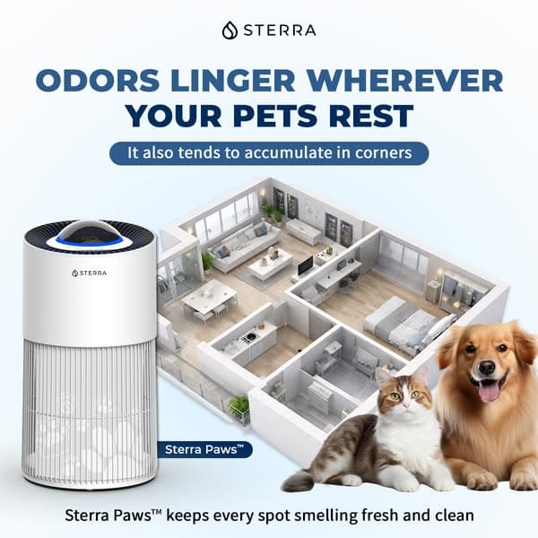 Fresh Air, Even with Pets Around