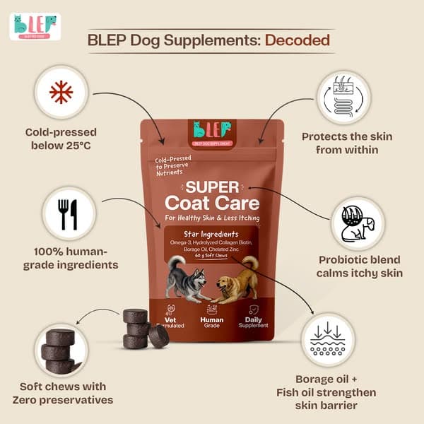 Less Itchy Skin With Dog Coat Supplements