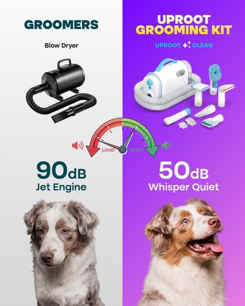 Struggling with Pet hair? Not for long!