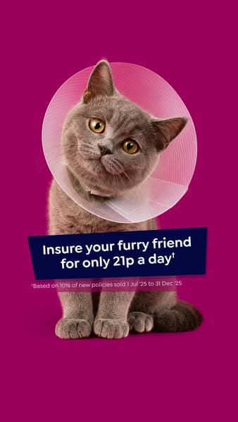 Lifetime Protection, for Less