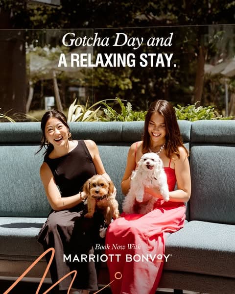 Book Pet-Friendly Stays