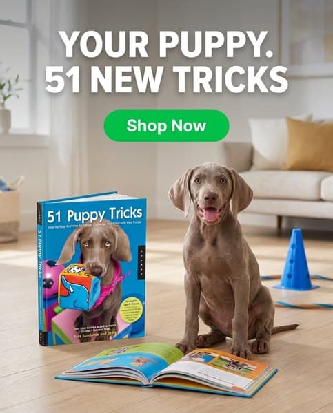 Your Puppy. 51 New Tricks!