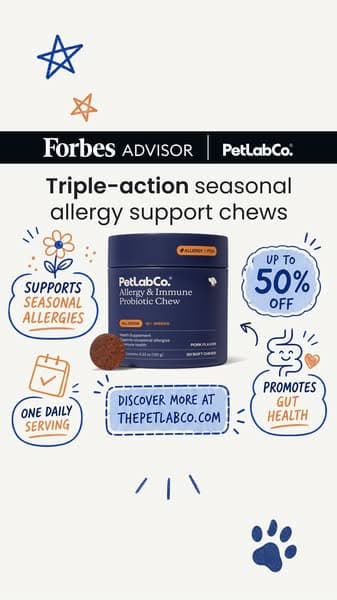 Triple-Action Seasonal Allergy Support for Dogs 🐾
