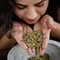 Ora's Amazing Herbal