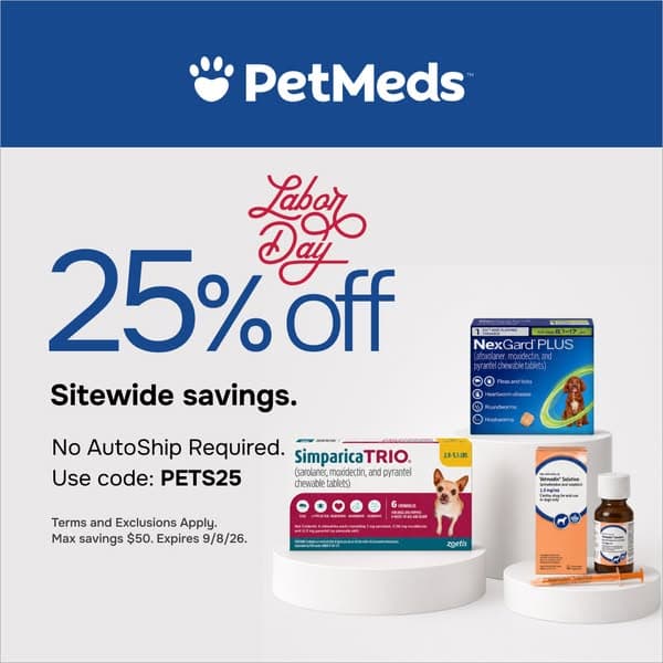 25% OFF SITEWIDE | Celebrate Labor Day with Big Savings 🐾