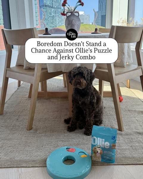 100% Human-Grade Ingredients for Your Pup