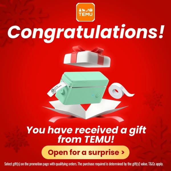 TEMU’s office sale is on