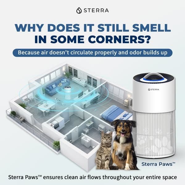 Fresh Air, Even with Pets Around