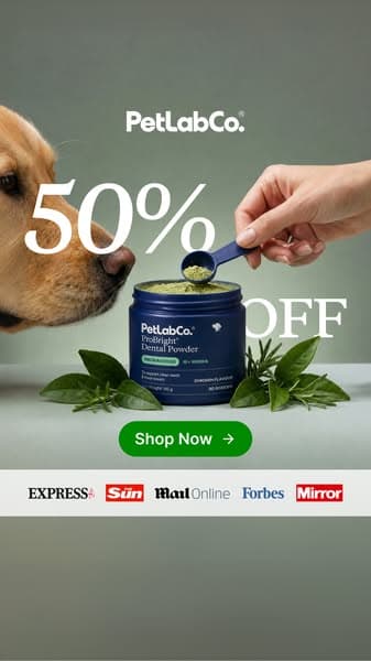 50% OFF Dog Dental Powder | Powerful Daily Support