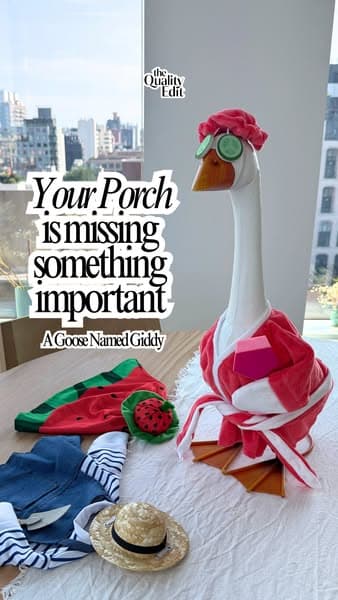 The Viral Porch Goose
