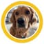 mrfinntastic_ with PetLab Co.