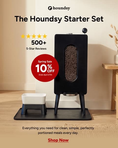 Spring Sale: 10% Off with Code SPRING10