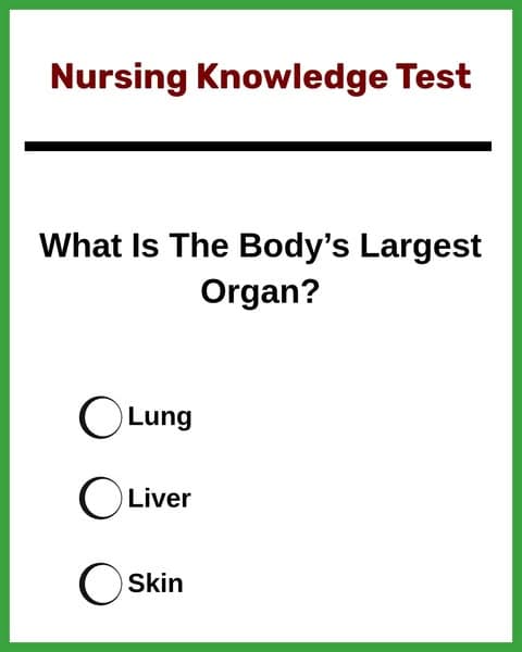 Think You Could Pass Nursing School? Take the Challenge