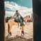 The Idaho Cowgirl with PetLab Co.