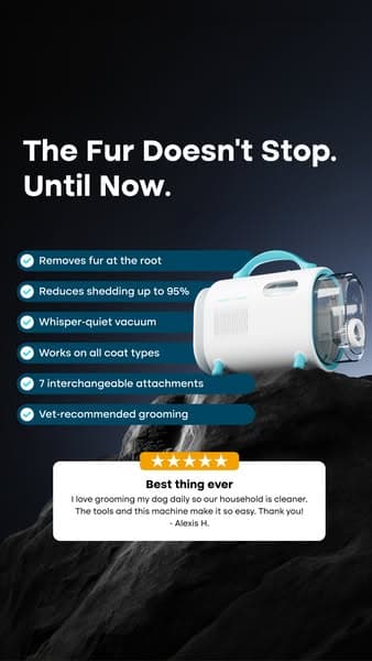 Struggling with Pet hair? Not for long!