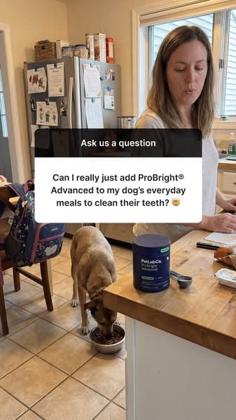 Busy Moms Swear By ProBright Advanced!
