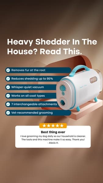 Struggling with Pet hair? Not for long!