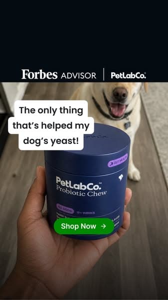 Yeast & Loose Stools? Try This Daily Chew