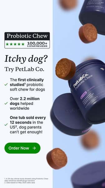America’s #1 Probiotic Chew for Dogs
