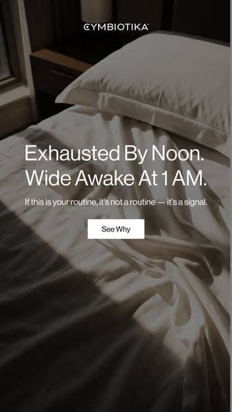 5 Reasons You’re Exhausted