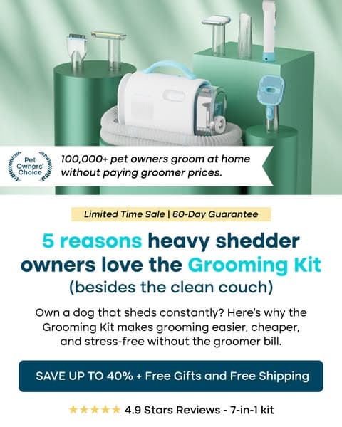 Struggling with Pet hair? Not for long!