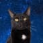 space_kat_ninja with PetSnowy