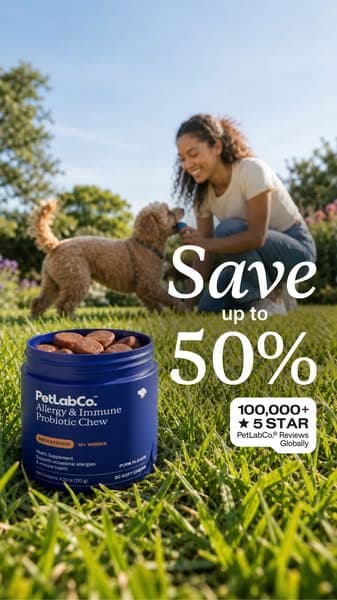 This "Allergy Chew" Helps Dogs Be Themselves Again ❤️