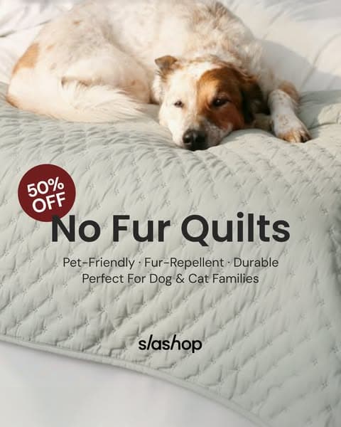 🔥Grab 50% Off Now👉