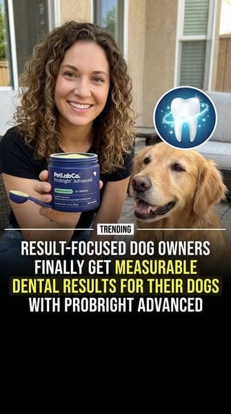 Don't Ignore These Dog Dental Warning Signs