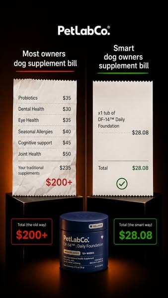 1 Scoop Replaces $235 In Supplements