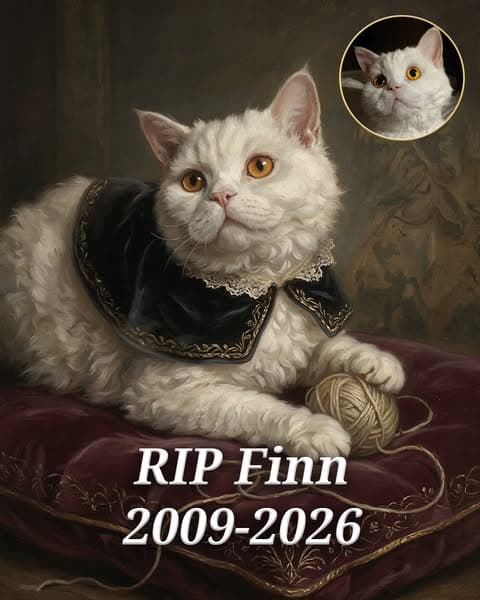 Custom Pet Portrait Within Seconds