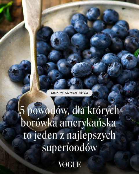 5 powodów, dla których borówka amerykańska to jeden z najlepszych superfoodów