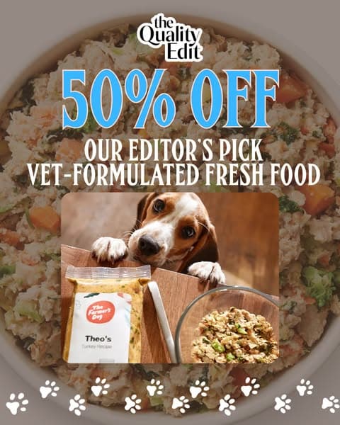 Why Our Editors Recommend The Farmer’s Dog (Now 50% Off)