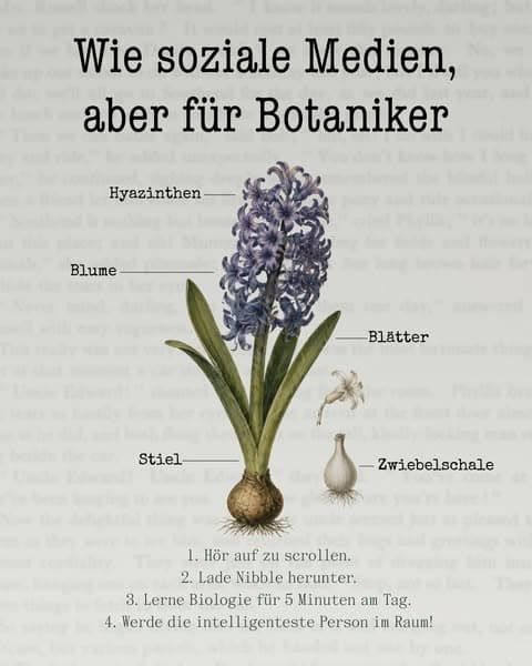 🔬 Biologie – aber in kleinen Häppchen!