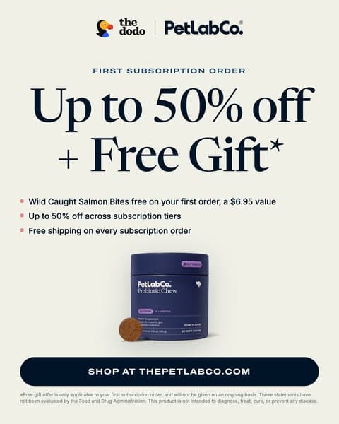 Up to 50% Off + Free Gift