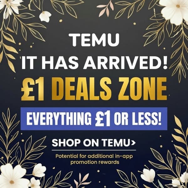 Come and Shop on Temu