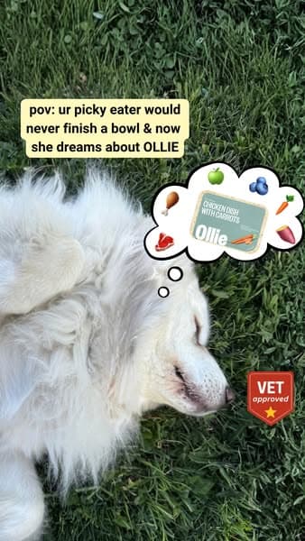 Even The Most Picky Eaters Agree