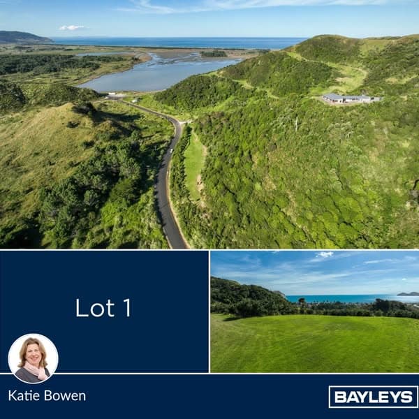 A coastal holding of distinction in Mahia