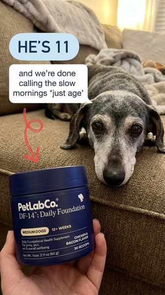 👉 Vet-approved "all-in-one" scoop for senior joints, gut & heart wellness ❤️